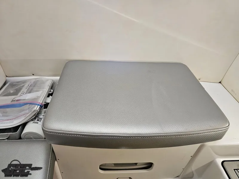 Slide: The Image of Sunsation 29 CCX 2017 - 86