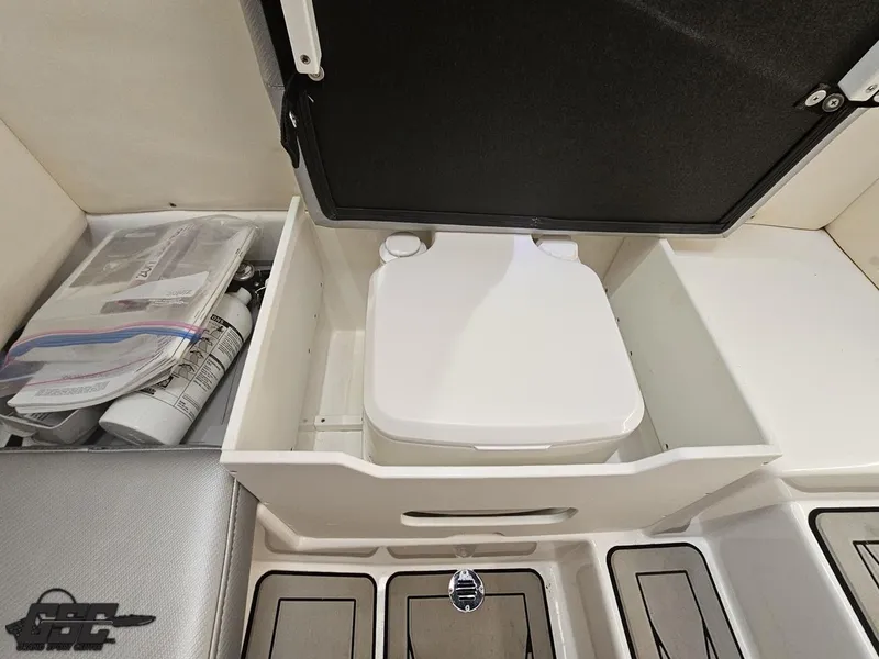 Slide: The Image of Sunsation 29 CCX 2017 - 87