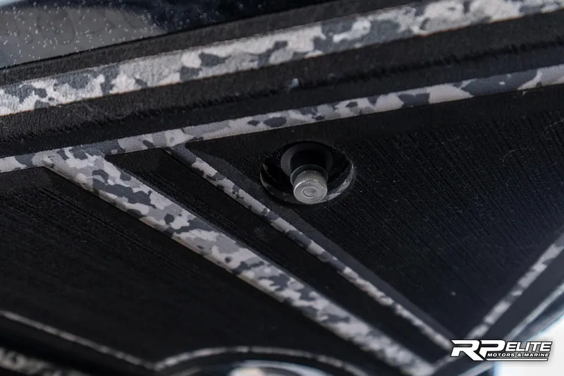 Slide: The Image of Pavati AL26 2022 - 120