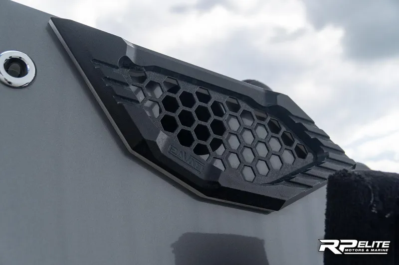 Slide: The Image of Pavati AL26 2022 - 37