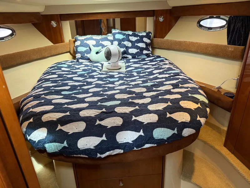 Slide: The Image of Cozy bedroom in 2006 Meridian 391 Sedan with whale-themed bedding. - 19