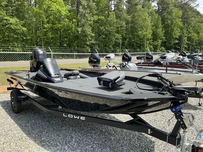 Slide: The Image of Lowe Stinger 195 2025 - 1