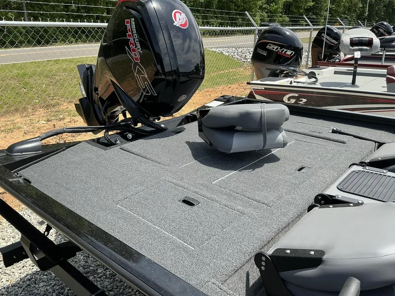 Slide: The Image of Lowe Stinger 195 2025 - 6