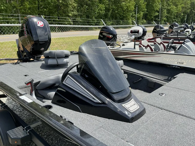 Slide: The Image of Lowe Stinger 195 2025 - 8