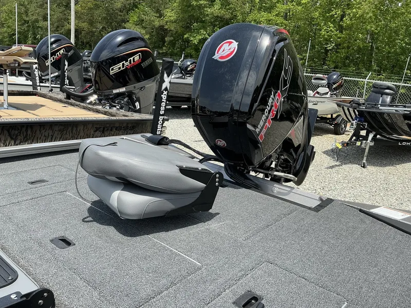 Slide: The Image of Lowe Stinger 195 2025 - 7