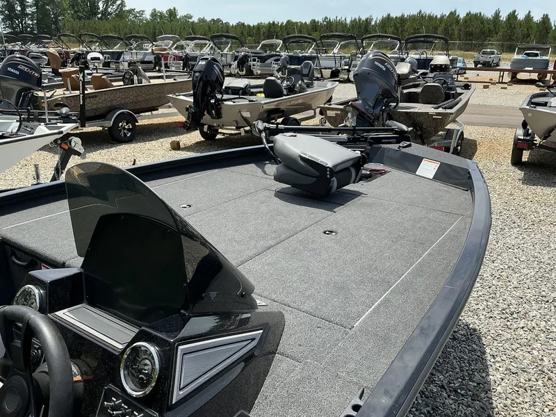 Slide: The Image of Lowe Stinger 195 2025 - 4