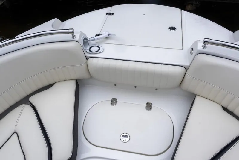 Slide: The Image of Stingray 231 DC 2025 - 14