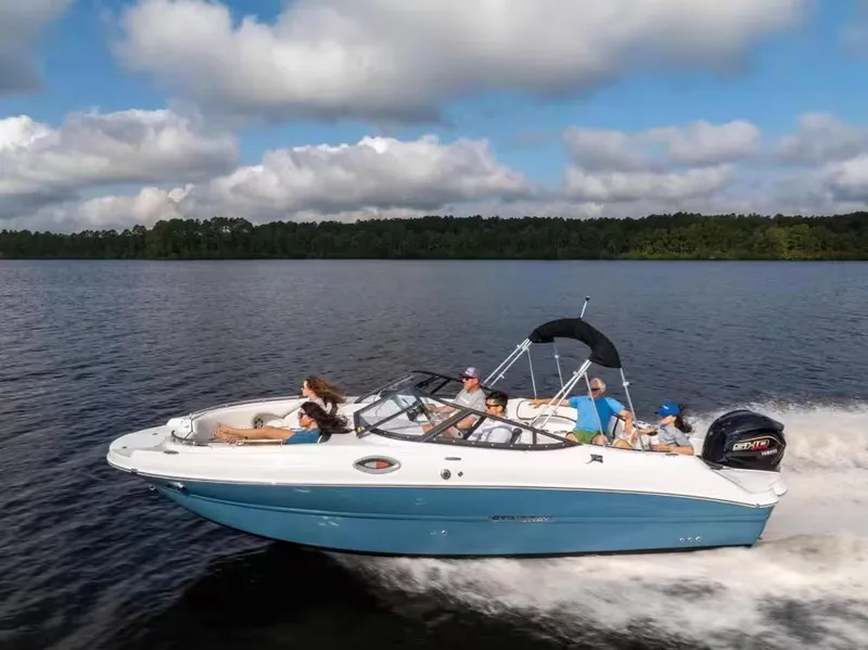 Slide: The Image of Stingray 231 DC 2025 - 16