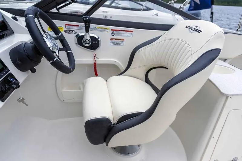 Slide: The Image of Stingray 231 DC 2025 - 4