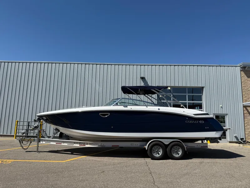 The Image of Cobalt 296 2015 - 1