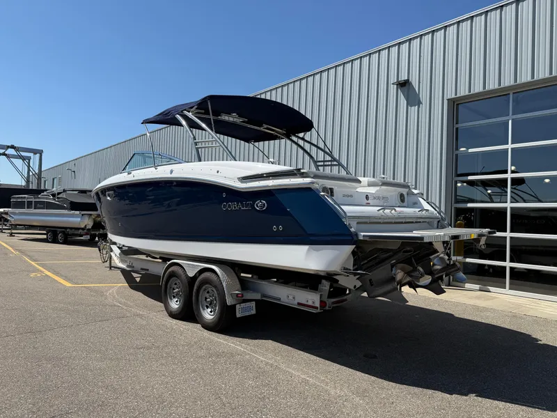 Slide: The Image of Cobalt 296 2015 - 3