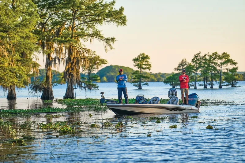 Slide: The Image of Ranger Z519R Cup-Equipped 2025 - 100