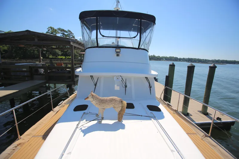 Slide: The Image of 2007 Beneteau Swift Trawler 42 docked, featuring a decorative animal figure on deck. - 6