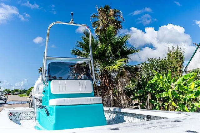 Slide: The Image of Majek 226 Illusion 2024 - 13