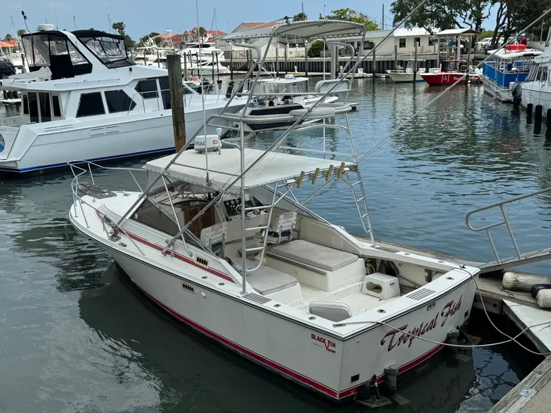 The Image of 1985 Blackfin 29 Combi Express boat docked in a marina, featuring a spacious deck. - 1