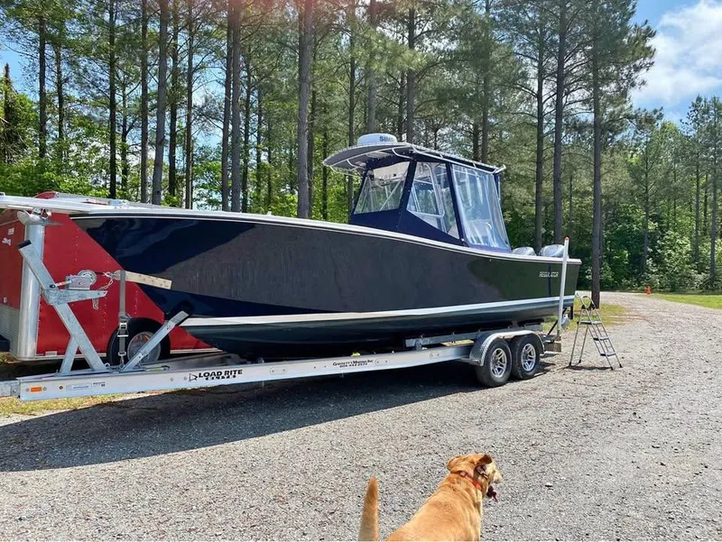 The Image of 1998 Regulator 26 Classic boat on trailer, surrounded by trees, with a dog in the foreground. - 1