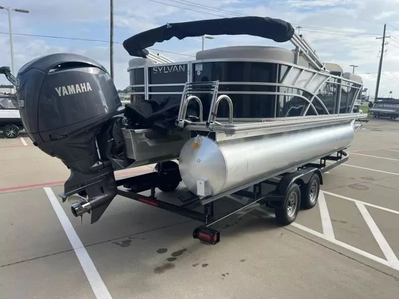 Slide: The Image of Sylvan Mirage 8522 LZ 2024 - 5