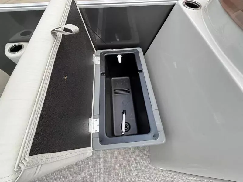 Slide: The Image of Sylvan Mirage 818 Fish 2024 - 11