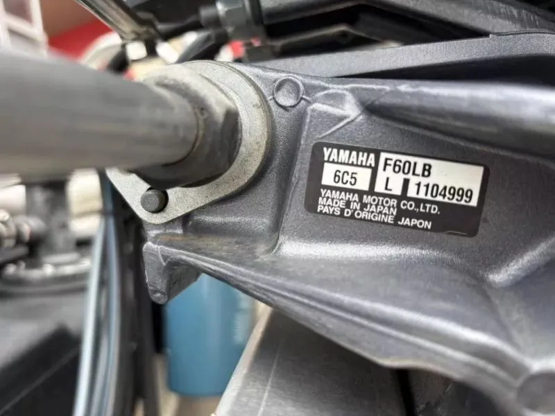 Slide: The Image of Sylvan Mirage 818 Fish 2024 - 17