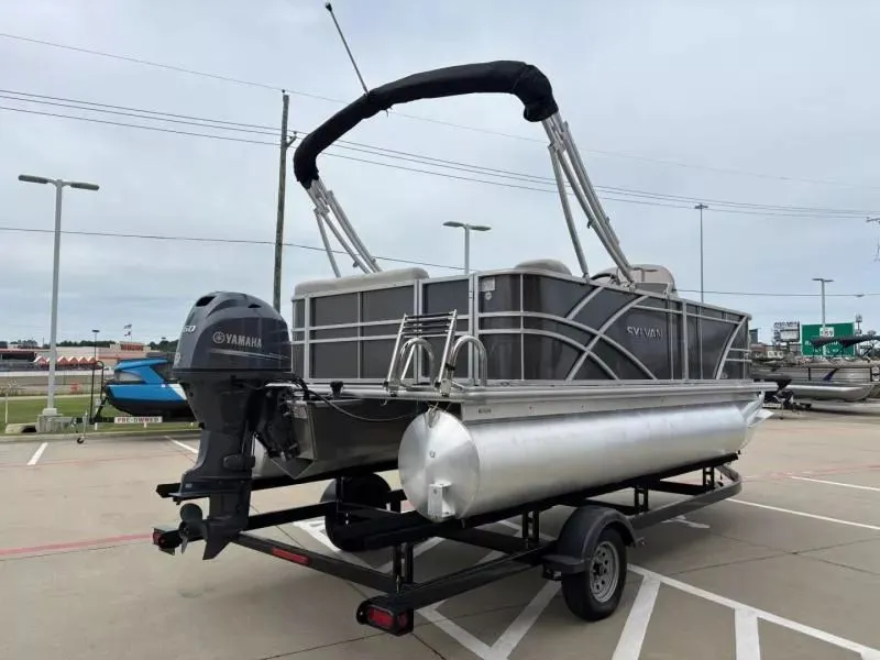 Slide: The Image of Sylvan Mirage 818 Fish 2024 - 4