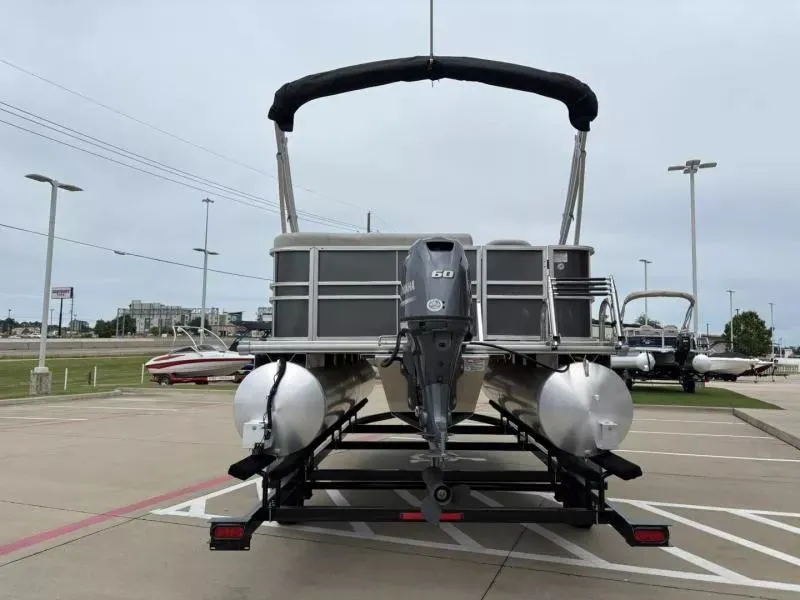 Slide: The Image of Sylvan Mirage 818 Fish 2024 - 5