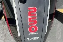 Slide: The Image of 2024 iKon LX 21 engine cover with "250 Pro V8" branding in bold red and white text. - 10