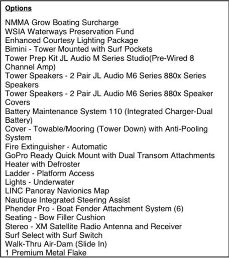 Slide: The Image of Options list for 2019 Nautique Super Air Nautique G25 boat, featuring premium audio and safety features. - 15