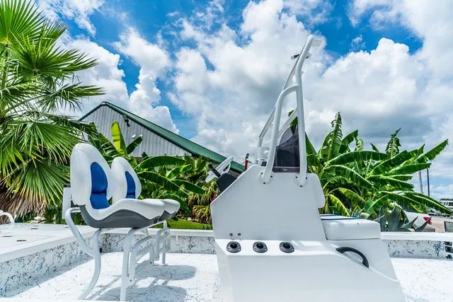 Slide: The Image of Majek 226 Illusion 2025 - 6