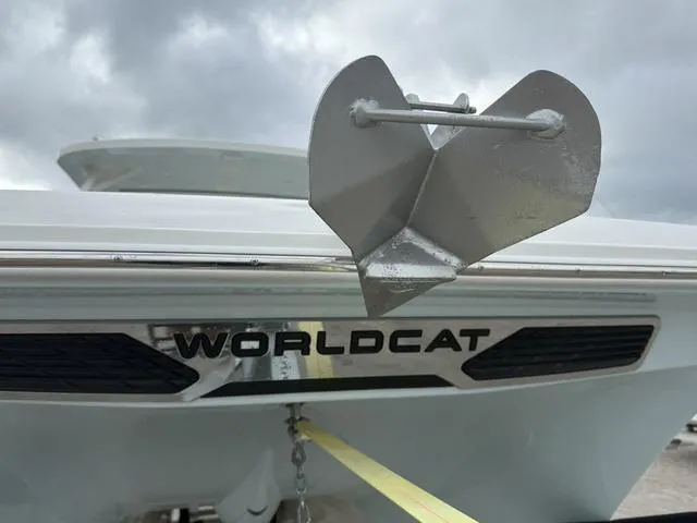 Slide: The Image of World Cat 260 DC-X (Dual Console) 2025 - 12