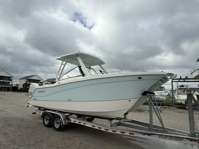 Slide: The Image of World Cat 260 DC-X (Dual Console) 2025 - 7