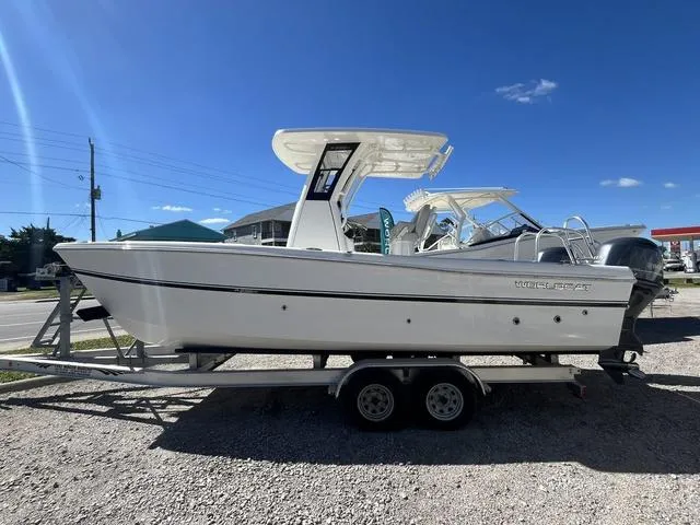 Slide: The Image of World Cat 235CC 2024 - 3