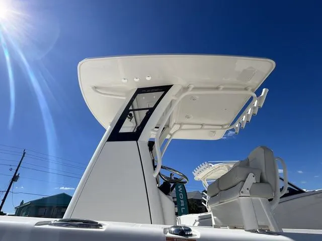 Slide: The Image of World Cat 235CC 2024 - 4