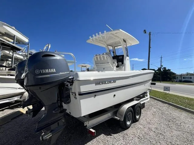 Slide: The Image of World Cat 235CC 2024 - 5