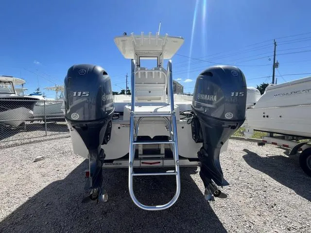 Slide: The Image of World Cat 235CC 2024 - 9