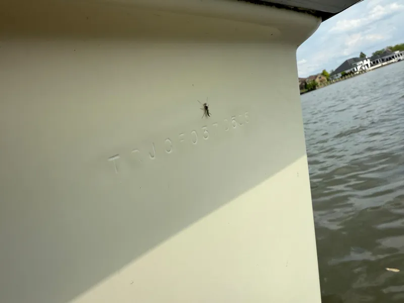 Slide: The Image of 1985 Trojan F36 boat hull with insect, near water. - 33