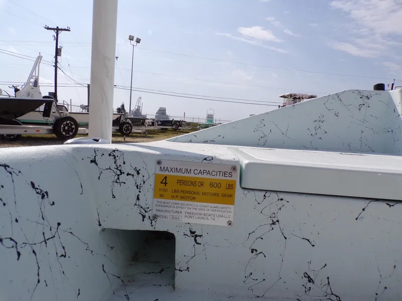 Slide: The Image of Freedom Eagle 16 2025 - 15