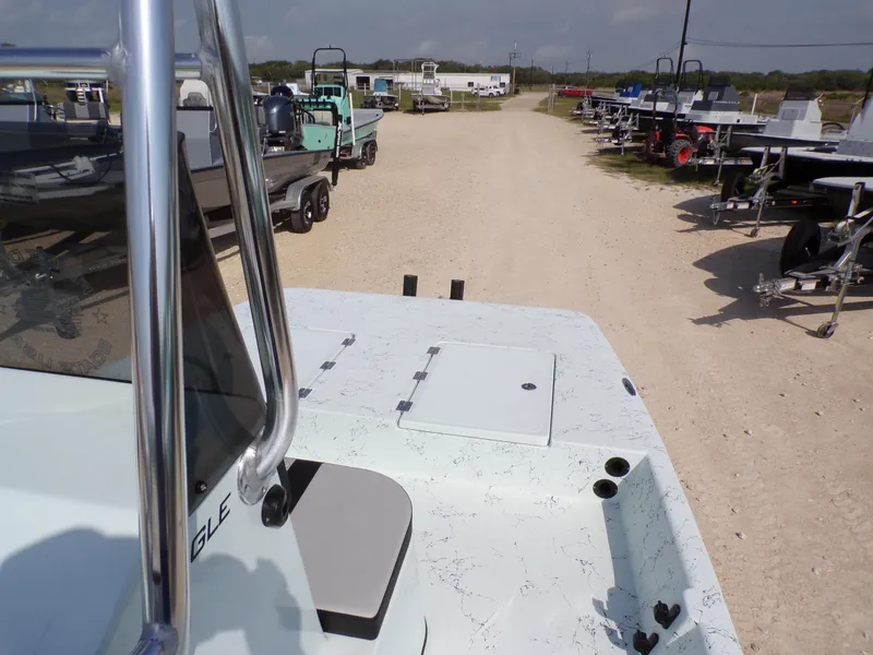 Slide: The Image of Freedom Eagle 16 2025 - 16