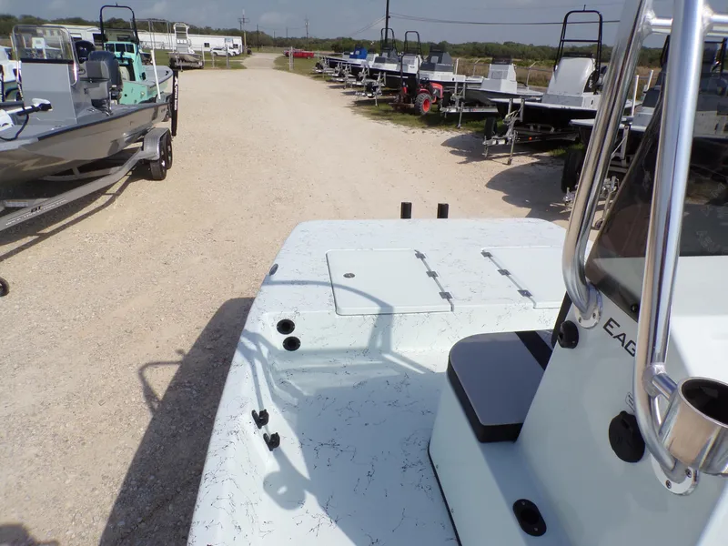 Slide: The Image of Freedom Eagle 16 2025 - 17