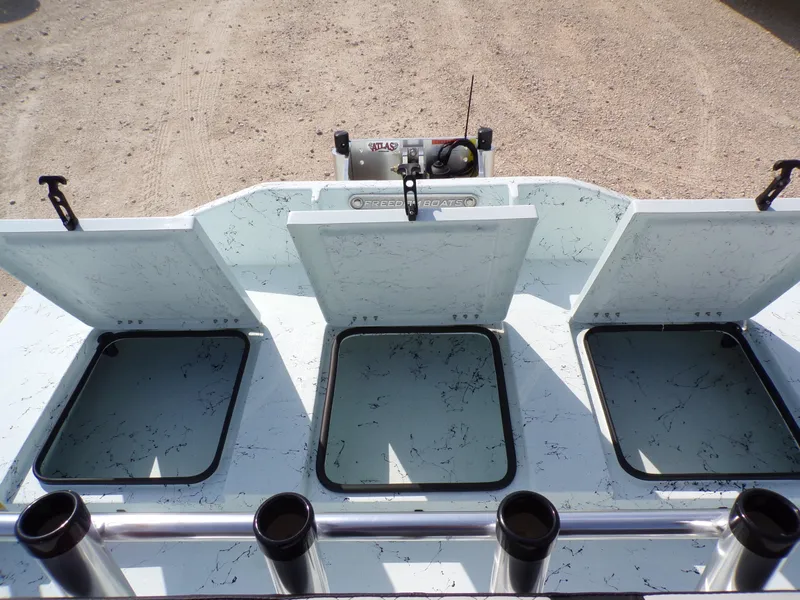 Slide: The Image of Freedom Eagle 16 2025 - 21