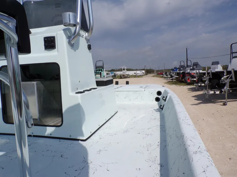 Slide: The Image of Freedom Eagle 16 2025 - 23