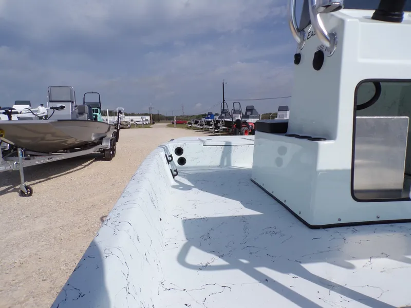 Slide: The Image of Freedom Eagle 16 2025 - 24