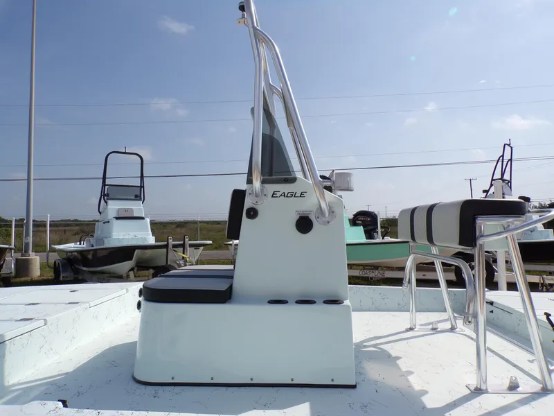 Slide: The Image of Freedom Eagle 16 2025 - 27