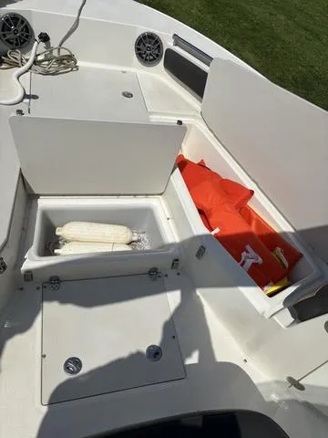 Slide: The Image of Stingray 236CC 2018 - 14