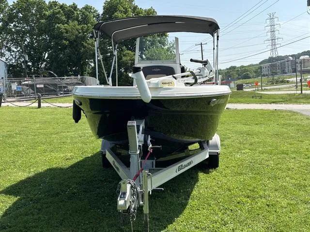 Slide: The Image of Stingray 236CC 2018 - 4