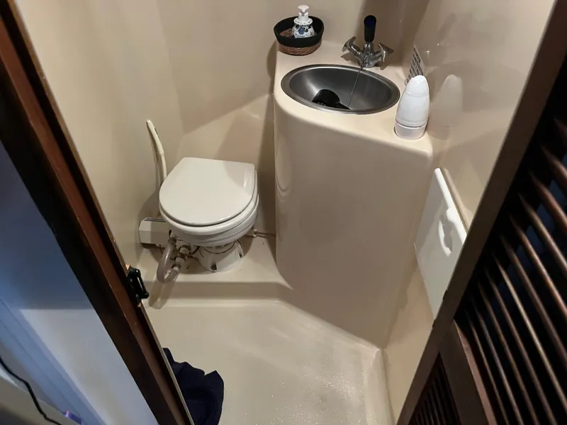 Slide: The Image of Bow Head - 38