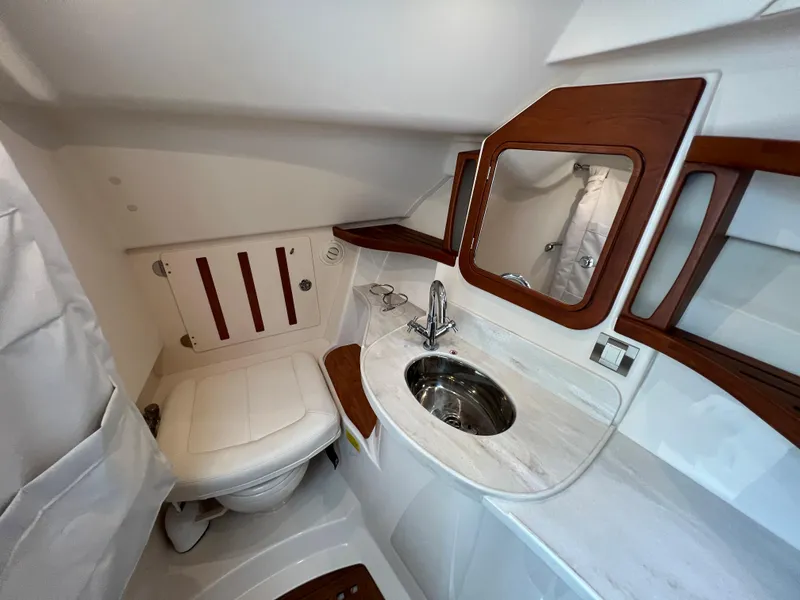 Slide: The Image of Grady-White Freedom 375 2020 - 55