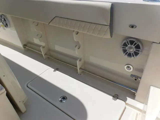 Slide: The Image of Stingray 253CC 2024 - 50