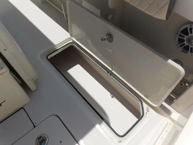 Slide: The Image of Stingray 253CC 2024 - 51