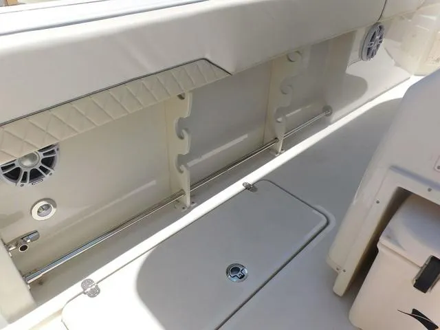 Slide: The Image of Stingray 253CC 2024 - 52