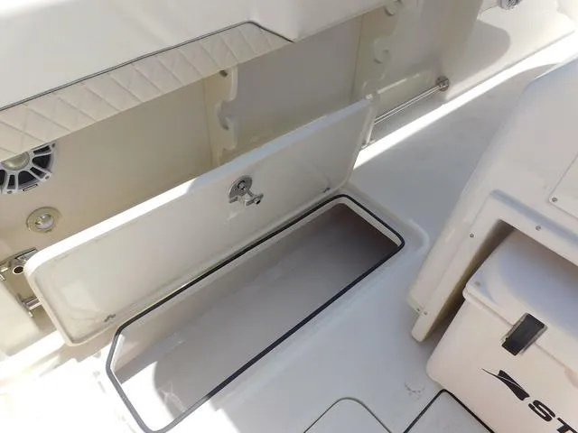 Slide: The Image of Stingray 253CC 2024 - 53